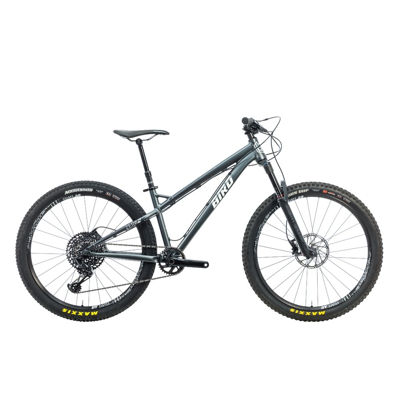 Bird Zero AM Mountain Bike – 2019, Small