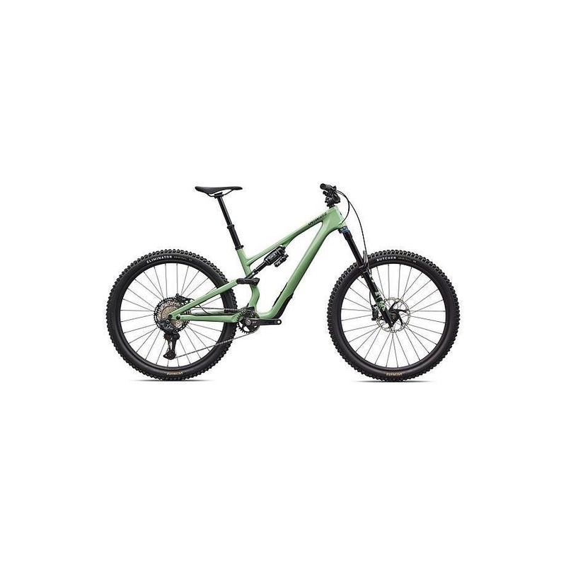 Stumpjumper 15 EVO Expert Di2