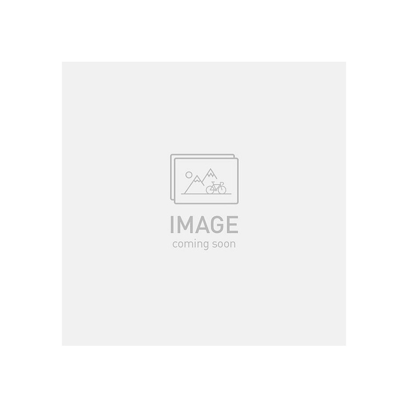 Specialized terra tlr tire tan sidewall 700 x 50