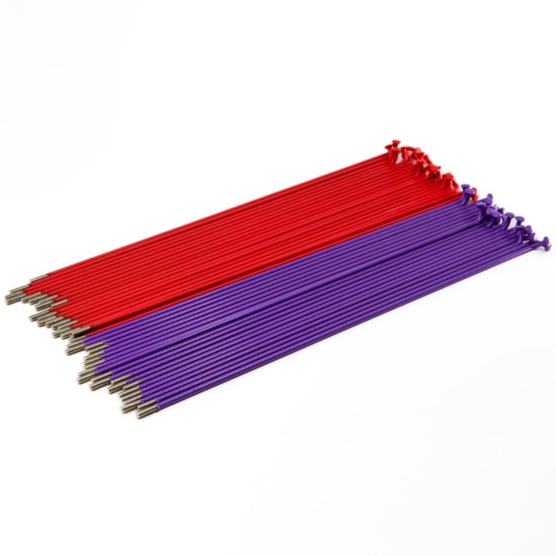 Source Spokes (Pattern 50 50) – Red/Purple