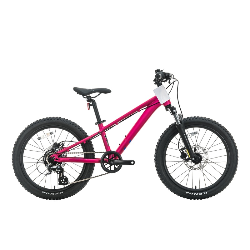 Liv STP 20 FS Girl’s Mountain Bike – 2021, One Size