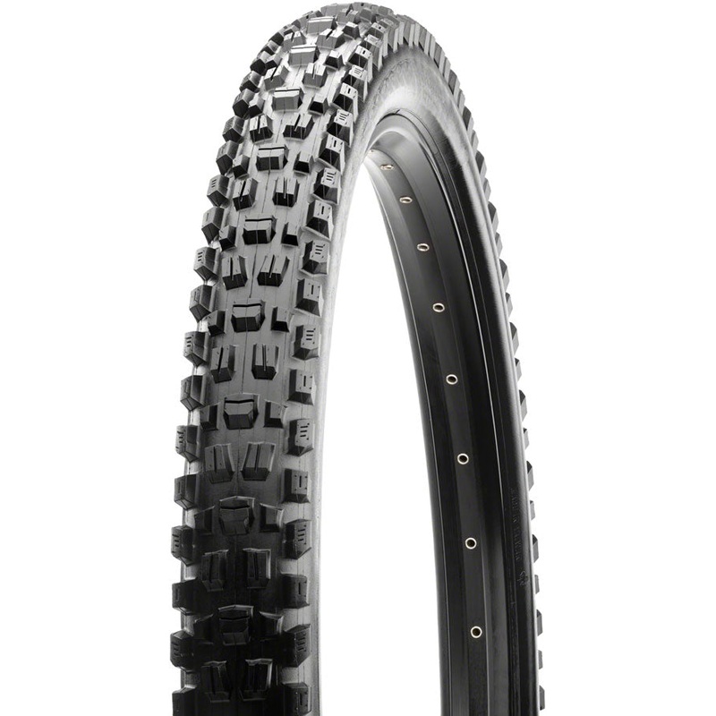 Maxxis Assegai Tire – 29 x 2.5, Tubeless, Folding, Black, 3C Maxx Terra ,EXO+, Wide Trail